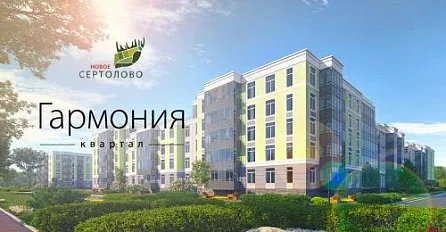 Новое Сертолово, Гармония